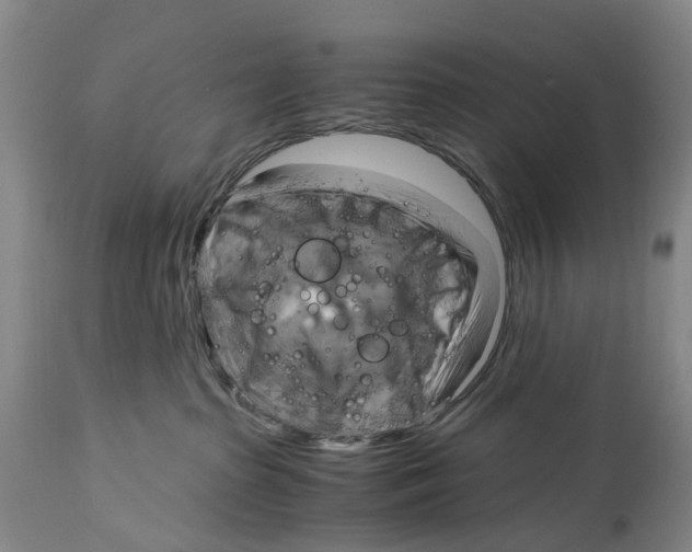 X0000115100285200911171248