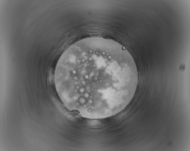 X0000115100287200911171248