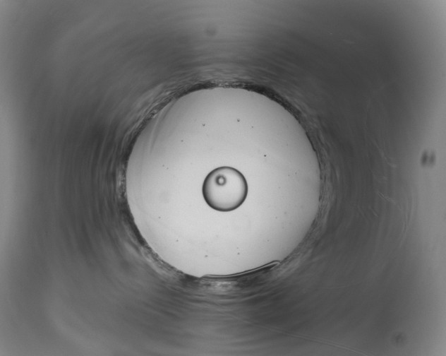 X0000115100288200911171248