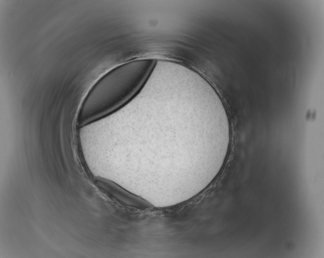 X0000115100289200911171247