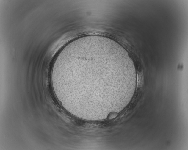 X0000115100291200911171247