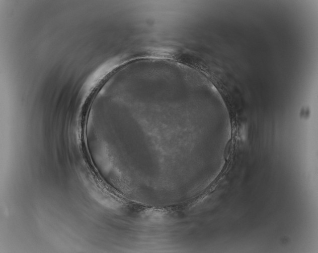 X0000115100294200911171247