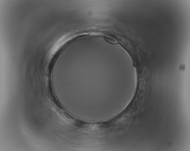 X0000115100295200911171247