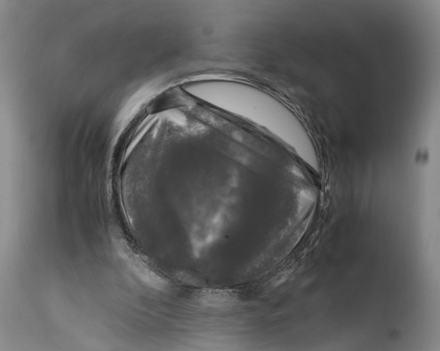 X0000115100296200911171247