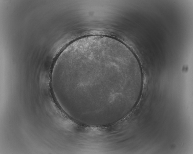 X0000115100297200911171247