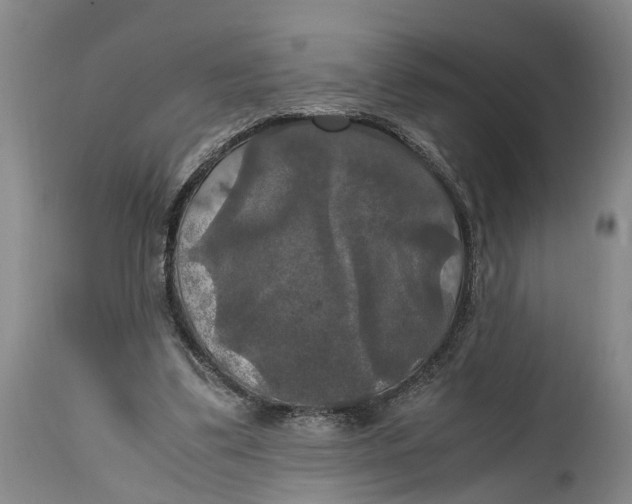 X0000115100299200911171247