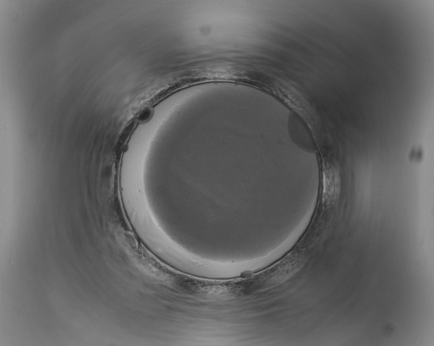 X0000115100301200911171247