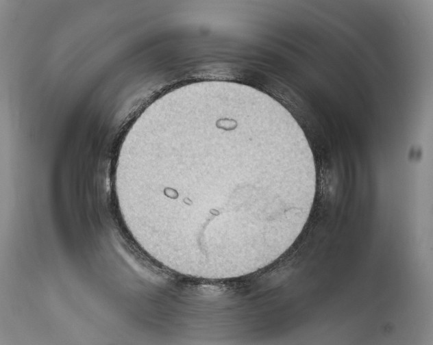 X0000115100302200911171247