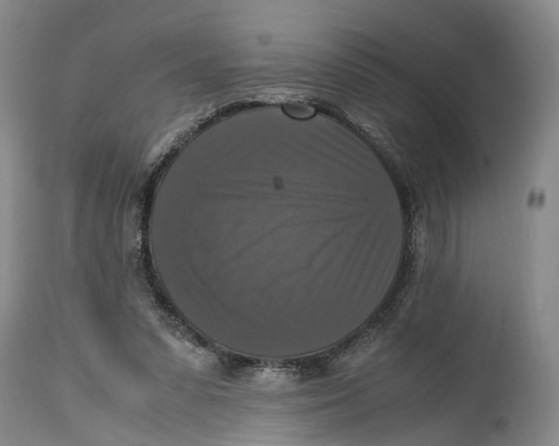 X0000115100303200911171247