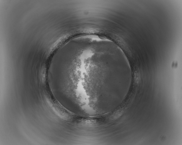 X0000115100304200911171247