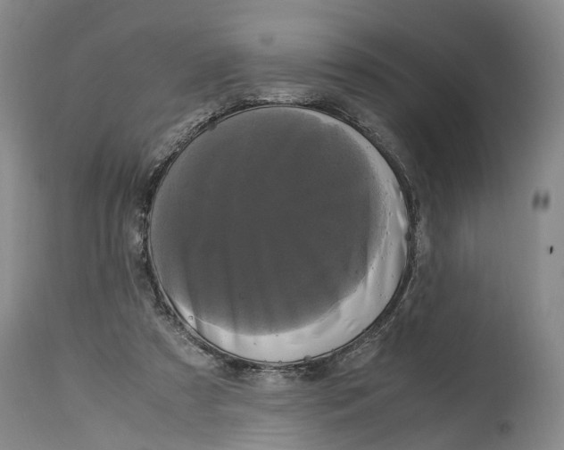 X0000115100305200911171247