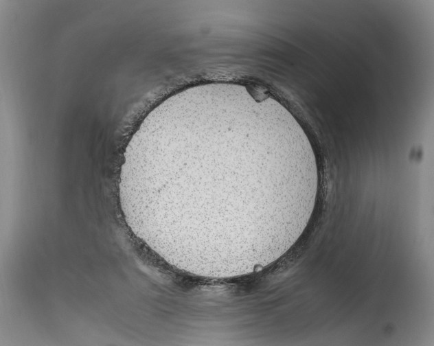 X0000115100307200911171247