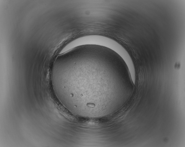 X0000115100308200911171247