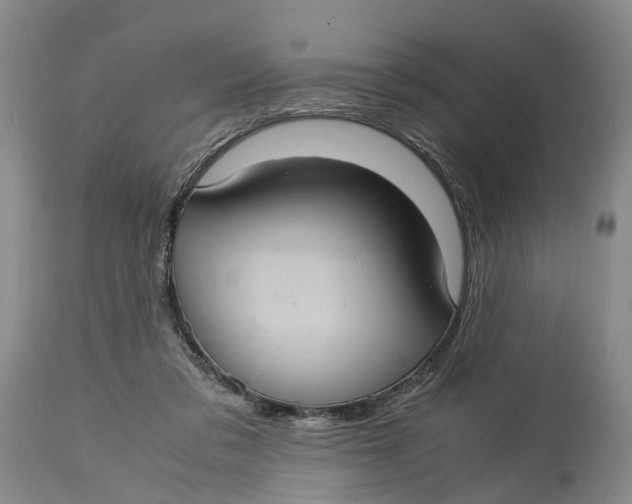 X0000115100309200911171247