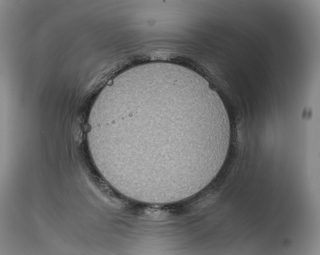 X0000115100311200911171247