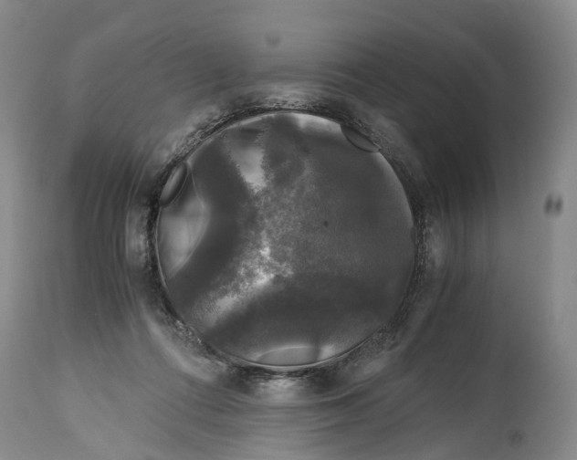 X0000115100312200911171247