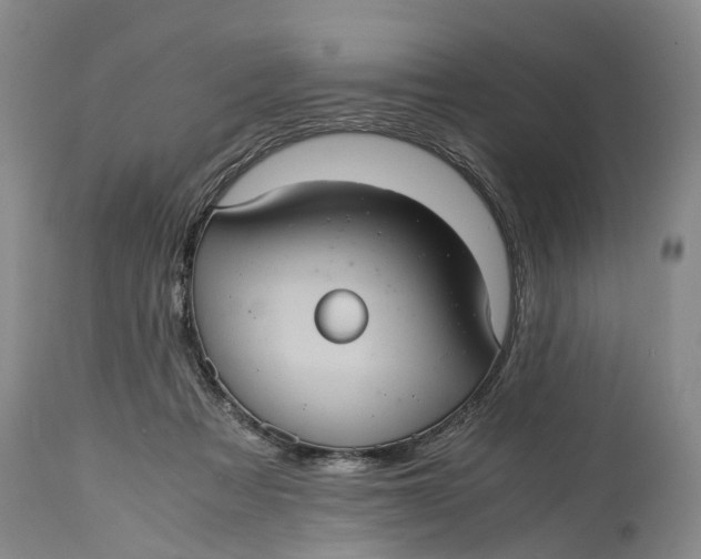 X0000115100313200911171247