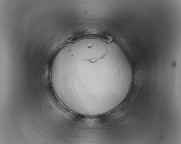 X0000115100314200911171247