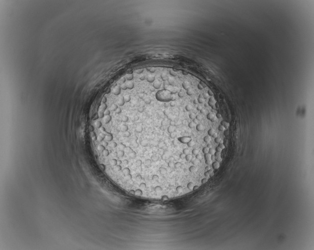 X0000115100315200911171247