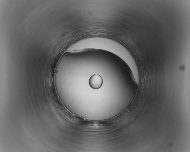 X0000115100316200911171247