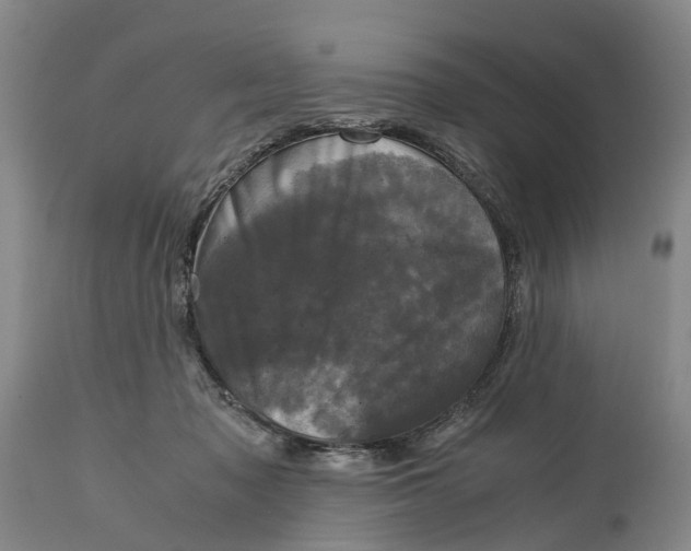 X0000115100317200911171247