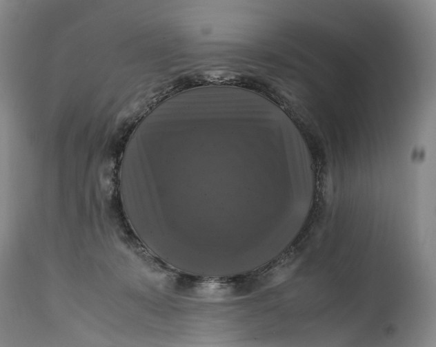 X0000115100319200911171247