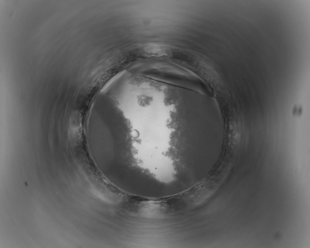 X0000115100320200911171247