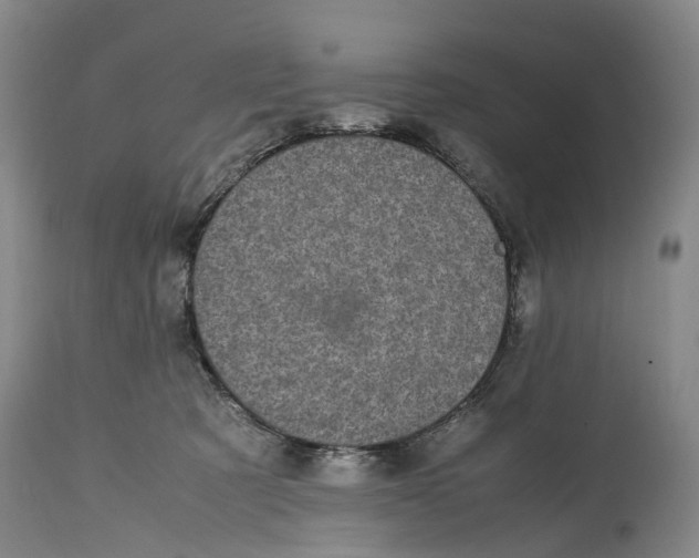 X0000115100321200911171247