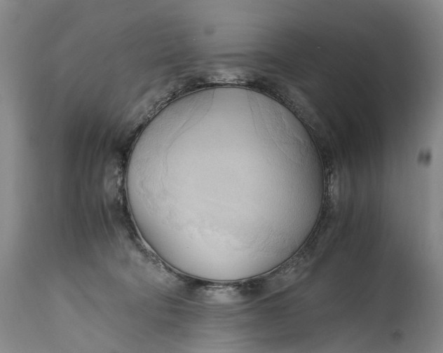 X0000115100322200911171247