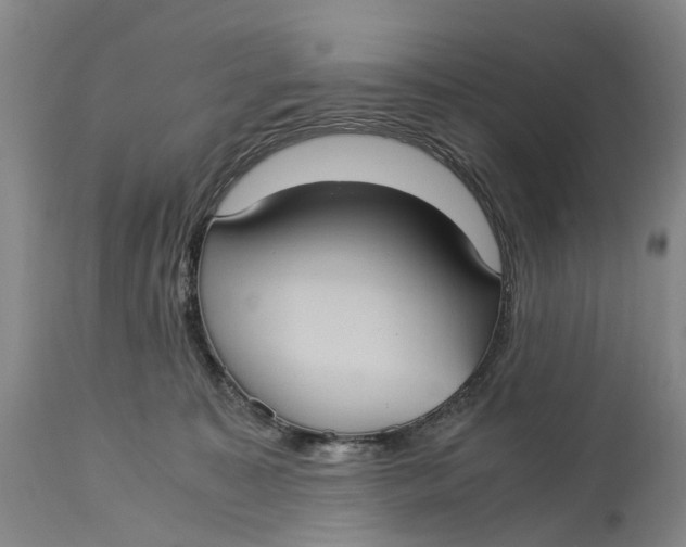 X0000115100323200911171247