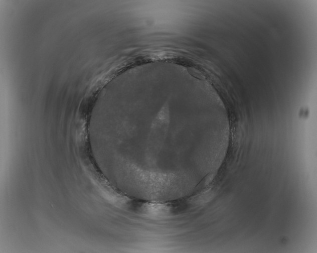 X0000115100327200911171247