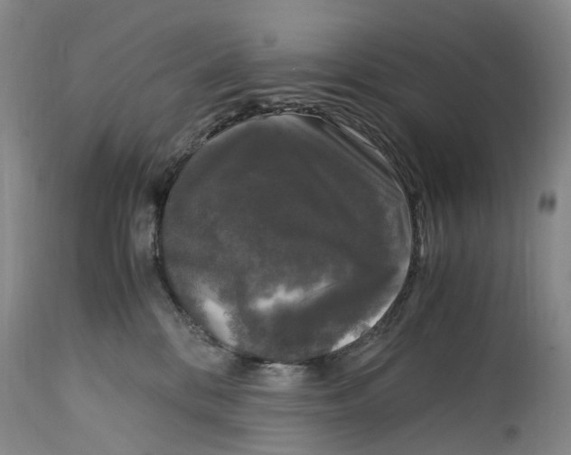 X0000115100328200911171247