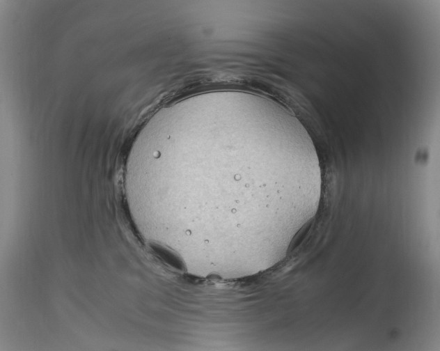 X0000115100329200911171247