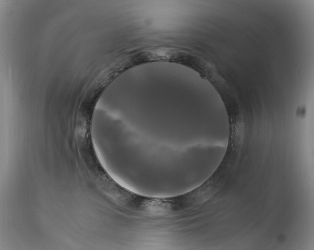 X0000115100331200911171247