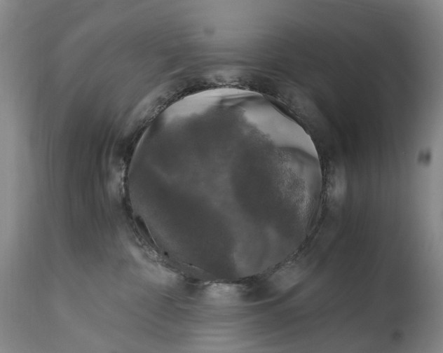 X0000115100332200911171247