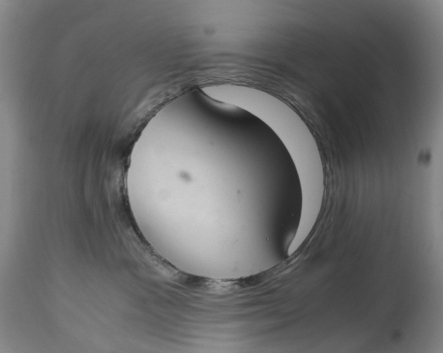 X0000115100333200911171247