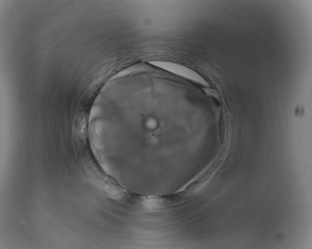 X0000115100336200911171247