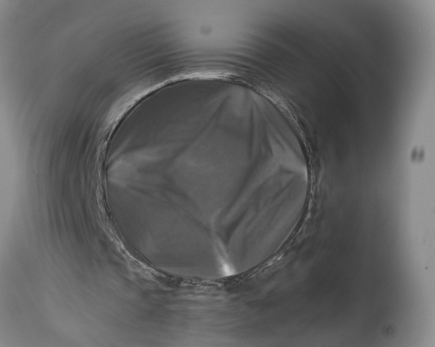 X0000115100337200911171246