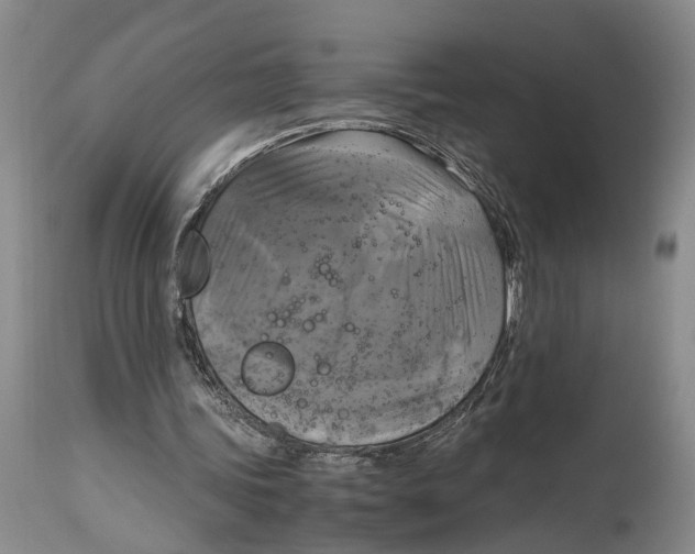 X0000115100339200911171246