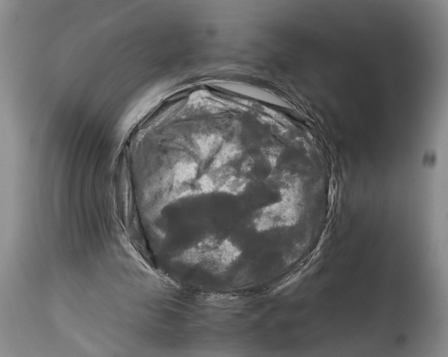 X0000115100341200911171246