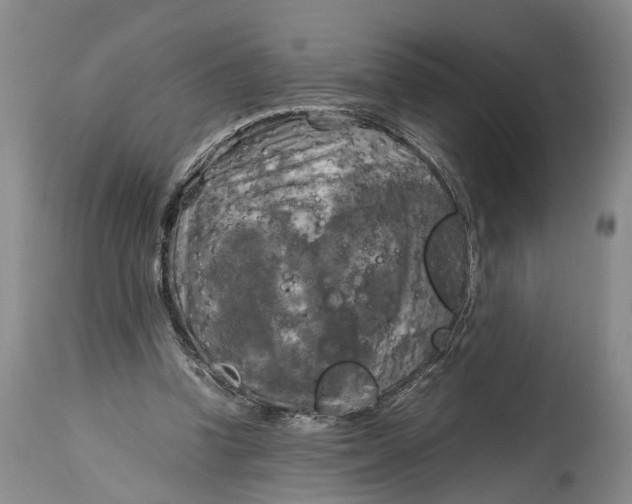 X0000115100346200911171246