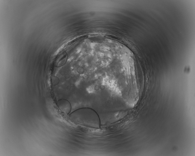 X0000115100347200911171246