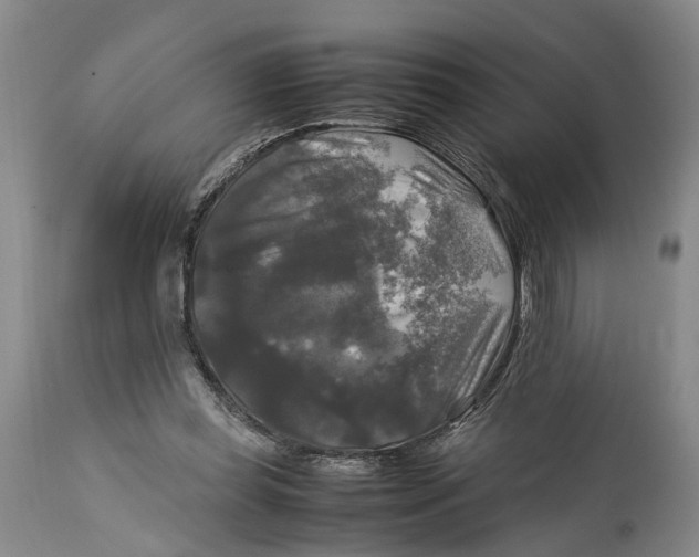 X0000115100349200911171246