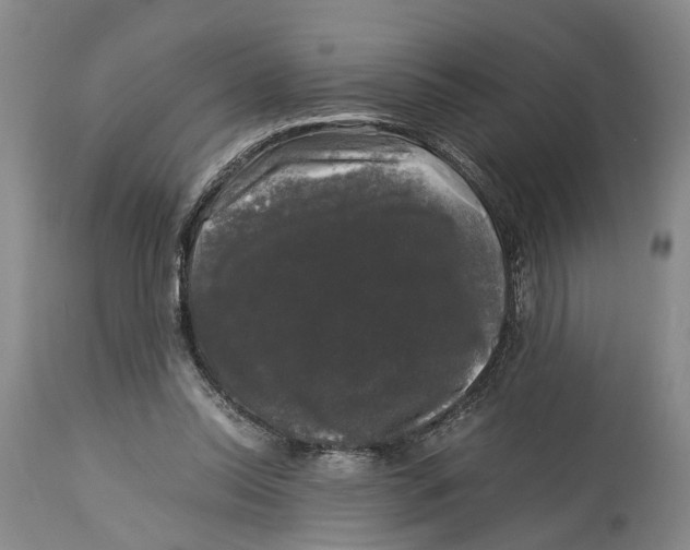 X0000115100350200911171246