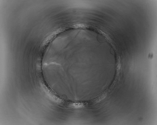 X0000115100353200911171246