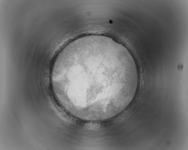 X0000115100354200911171246