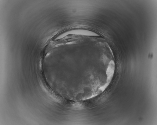 X0000115100358200911171246