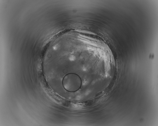 X0000115100359200911171246