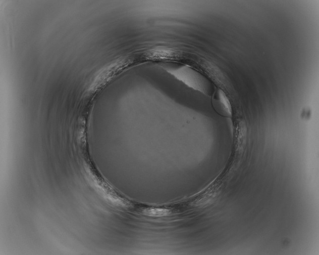 X0000115100361200911171246