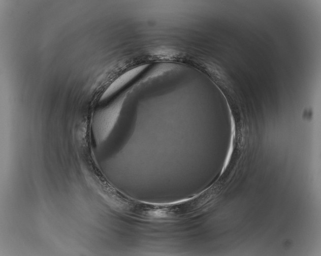 X0000115100365200911171246